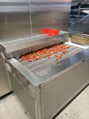 果蔬速凍機(jī)